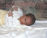 gal04.jpg (5710 bytes)